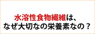 水溶性食物繊維はこんなにも大切な栄養素1