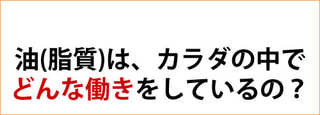 油 （ 脂質 ）はカラダの中で、どんな働きをしているの？