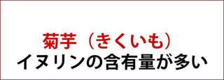 菊芋 （ きくいも　キクイモ ）｜解説・商品紹介