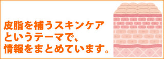 「皮脂を補うスキンケア」というテーマで情報をまとめています。