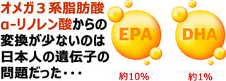 体内で、α-リノレン酸からEPA、DHAに変換される量が少ないのは、日本人の遺伝子の問題だった。