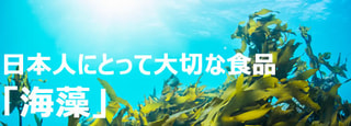 海の食物繊維豊富・栄養満点・日本人の大切な美味しい食品である海藻