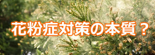 花粉大量飛散！花粉症対策の本質とは･･･