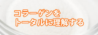 コラーゲンに関してのトータルな説明