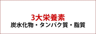 3大栄養素（炭水化物・脂質・タンパク質）の摂取バランスについてまとめてみました。