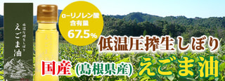 国産島根県　低温圧搾生しぼり　えごま油