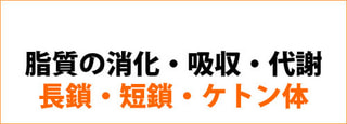 脂質の消化吸収と代謝